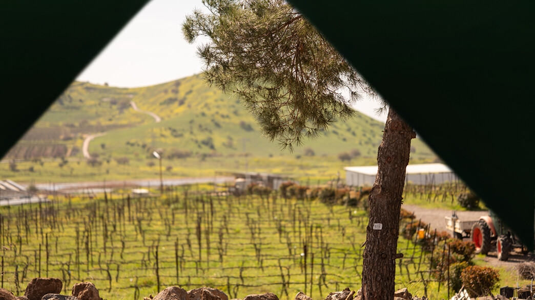 גלמפינג אורטל גלמפינג אורטל