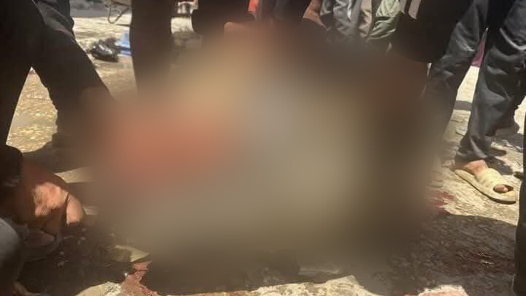 עזתים אוכלים צב נהר בשל המחסור במזון עזתים אוכלים צב נהר בשל המחסור במזון