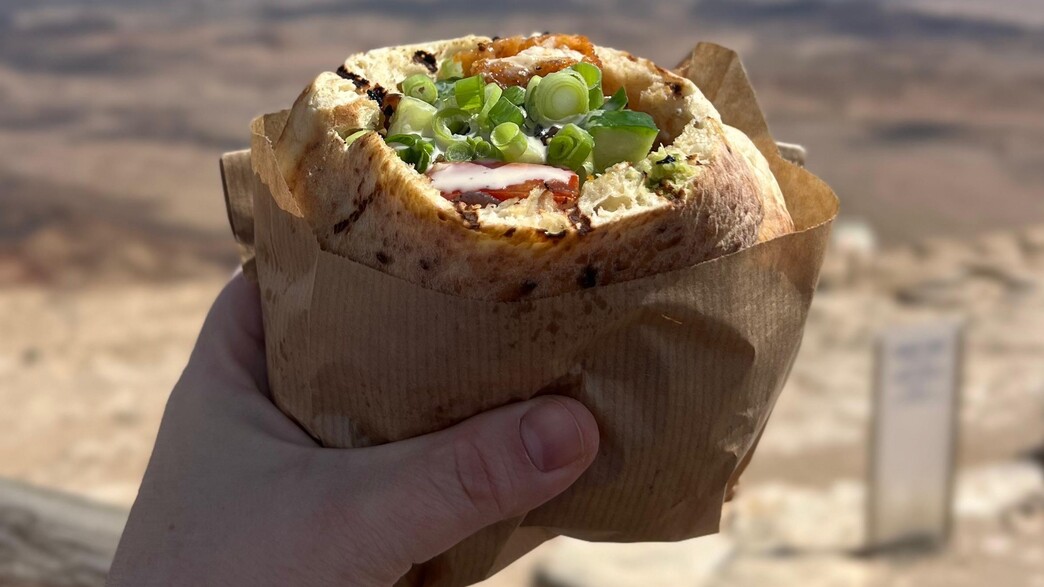 רמונא הקטנה. פיתה בשניצל על התפצית