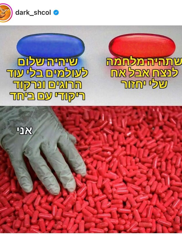 דארק שכול