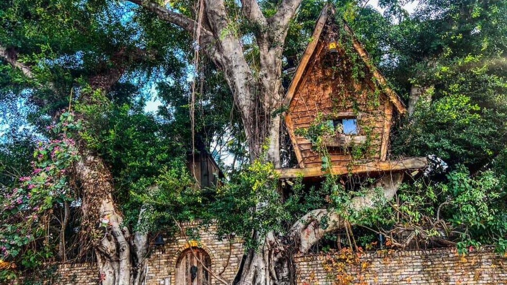 בית המכשפה ברחובות