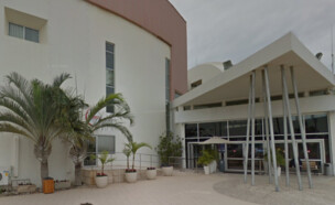 גלי תמר (צילום: גוגל מופת)