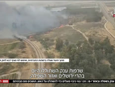 20fire_vtr2_n20250423_v1 (צילום: חדשות)