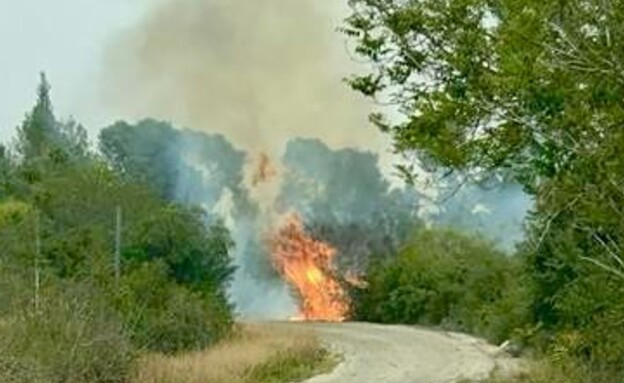 שריפה בכניסה למושב תרום (צילום: נדב תורג׳מן)