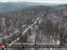 20fires_vtr2_n20250424_v1 (צילום: חדשות)