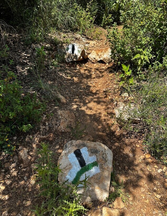 הר הלל פנייה לסמס שחור שביל האדמוניות (צילום: מירב טלמור-קשי)