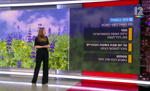 תחזית מזג האוויר 24.4.25