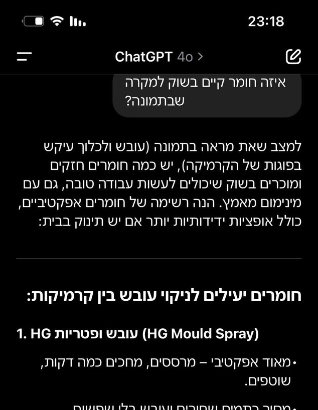 ניקתה בהוראות הצ'ט (צילום: טל יערי)
