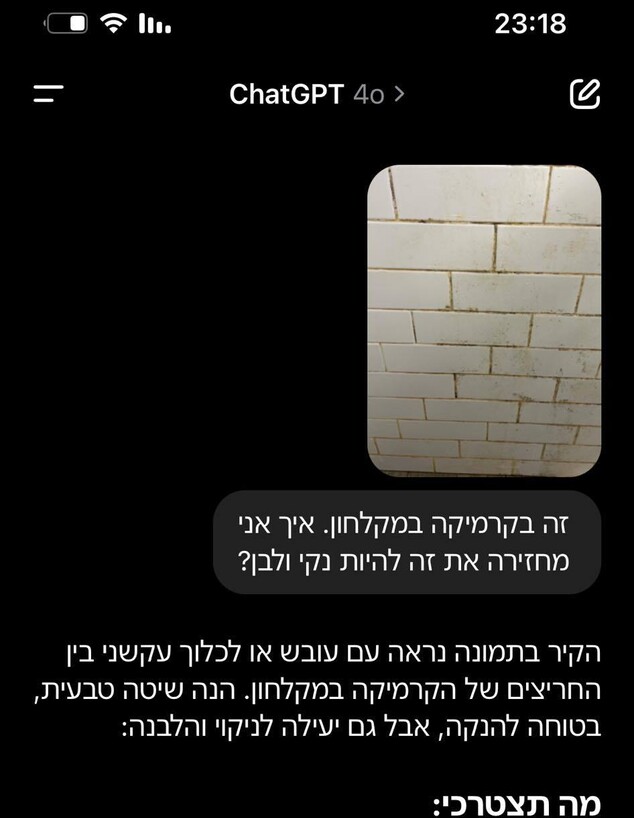 ניקתה בהוראות הצ'ט (צילום: טל יערי)