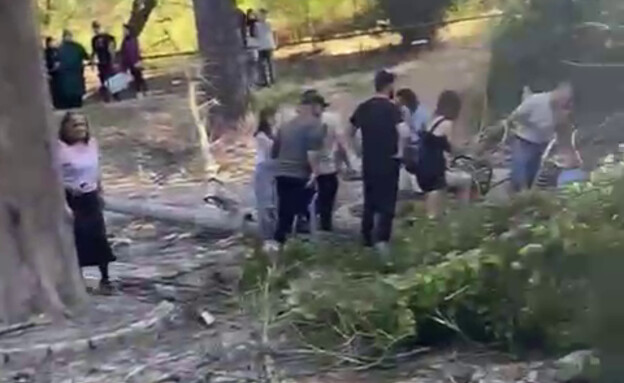 גבר ואישה נפצעו מנפילת עץ סמוך לנחל שופט (צילום: לפי סעיף 27 א')