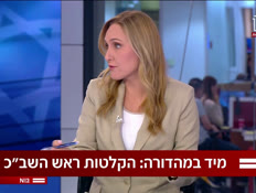 19koabinet_vtr2_n20250427_v1 (צילום: חדשות)