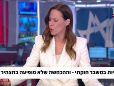 20yaron_vtr2_n20250427_v1 (צילום: חדשות)