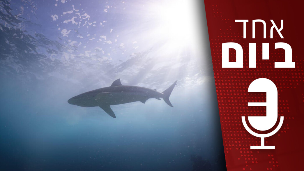 אחד ביום - 28.04.2025