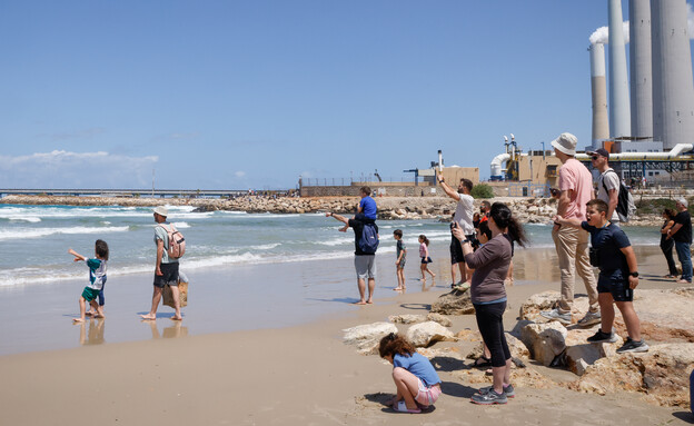 מתעניינים מתקהלים בחוף הים בחדרה  (צילום: יוסי זמיר, פלאש 90)