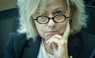 היועמ"שית גלי בהרב מיארה בועדת חוקה (צילום: יונתן זינדל, פלאש 90)