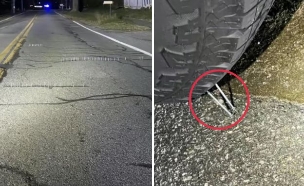קייפ קוד (צילום: מתוך הרשתות החברתיות בהתאם לסעיף 27א' בחוק)