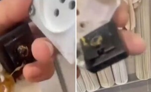 המצלמות שהתגלו במקווה