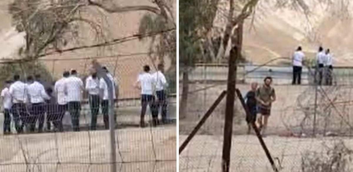 חוות התנינים פצאל מטיילים במקום חוות התנינים פצאל מטיילים במקום