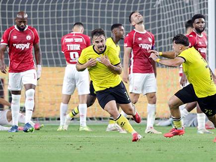 (צילום: אלן שיבר)