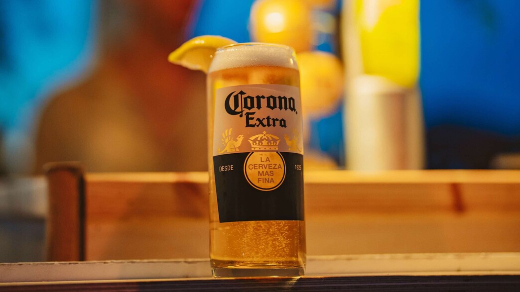 קורונה מהחבית קורונה מהחבית