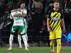 (אלן שיבר) (צילום: ספורט 5)