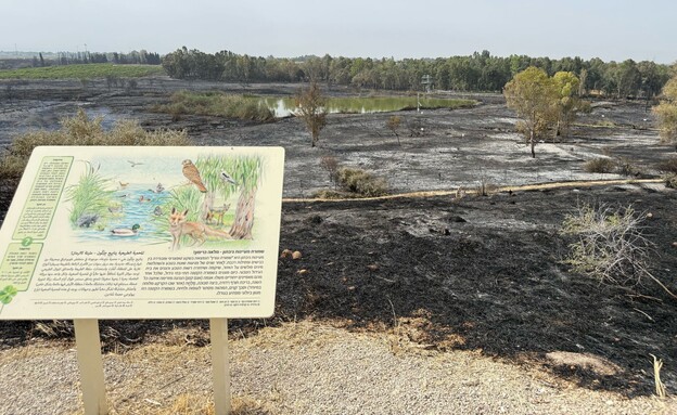 עיינות גבתון (צילום: מועצה אזורית גזר)