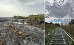 עיינות גבתון (צילום: מירב טלמור-קשי, מועצה אזורית גזר)