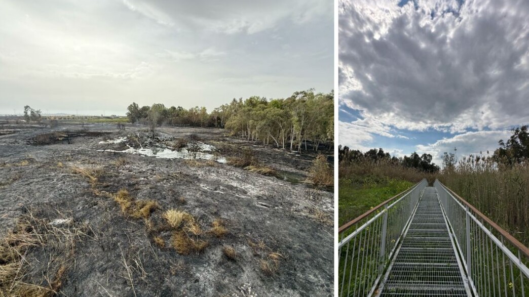 עיינות גבתון עיינות גבתון