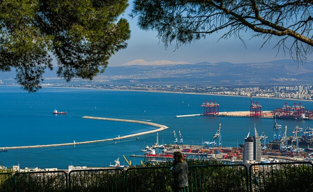 רחוב יפה נוף, חיפה (צילום: ניר בלזיצקי, דוברות עיריית חיפה ) רחוב יפה נוף, חיפה (צילום: ניר בלזיצקי, דוברות עיריית חיפה )