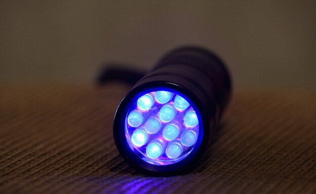 פנס אולטרה ויולט (צילום: Nikolay Kostadinov, shutterstock)