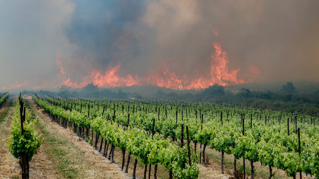 שרפה באזור ירושלים