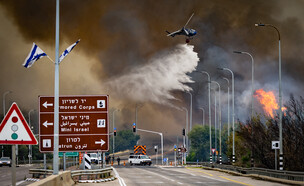 שרפת ענק בהרי ירושלים  (צילום: אורן בן חקון, פלאש 90)
