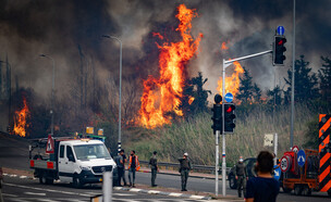 שרפת ענק בהרי ירושלים  (צילום: אורן בן חקון, פלאש 90)