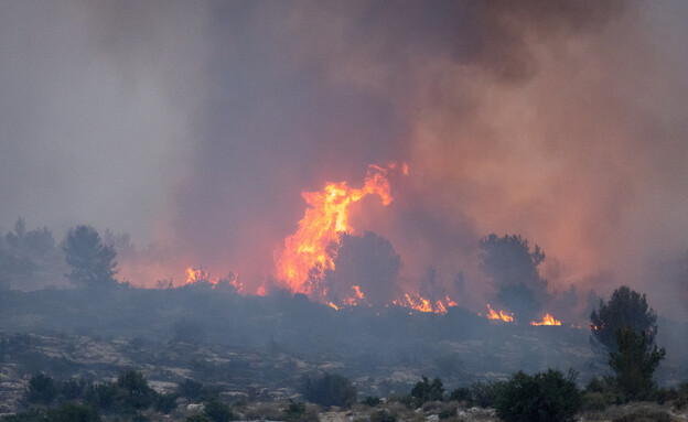 שרפת ענק בהרי ירושלים  (צילום: יונתן זינדל, פלאש 90)