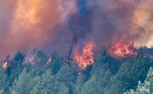 שרפת ענק בהרי ירושלים  (צילום: קובי ריכטר, כבאות והצלה לישראל)