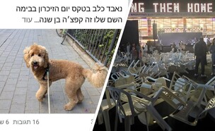 הבהלה בבימה 