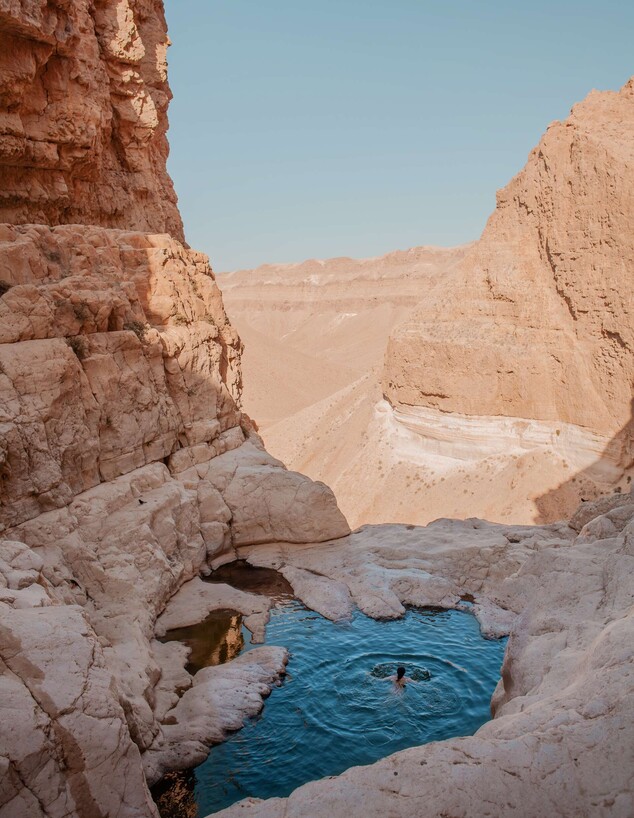 בריכת צפירה