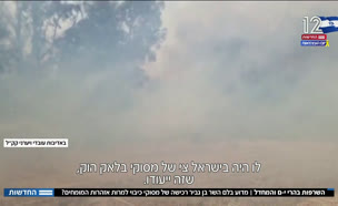 השרפות בהרי י-ם והמחדל 