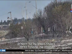 20nfirevtr30_vtr2_n20250501_v1 (צילום: חדשות)