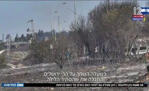 השרפה בהרי ירושלים: 30 שעות של אש 
