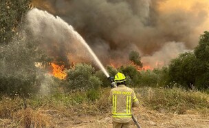 מאמצי כיבוי השריפות (צילום: איתן חפצדי, תיעוד מבצעי, כב״ה ירושלים)