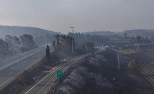 נזקי השריפות בהרי ירושלים (צילום: ראובן קסטרו)