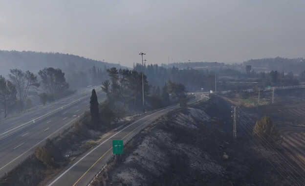 נזקי השריפות בהרי ירושלים (צילום: ראובן קסטרו)