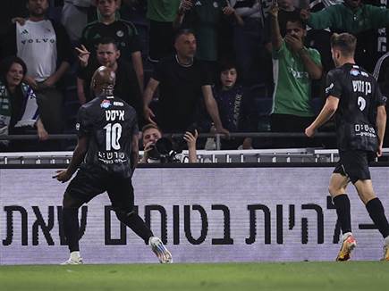 אבל חטפה סטירת לחי על הדשא (צילום: מאור אלקסלסי)