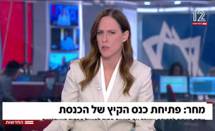 20knesset_vtr2_n20250504_v1 (צילום: חדשות)