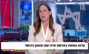 20mia_vtr2_n20250504_v1 (צילום: חדשות)