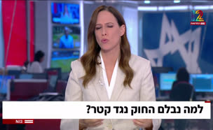 20qatar_vtr2_n20250504_v1 (צילום: חדשות)
