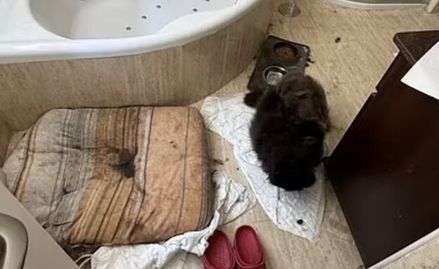 3 ילדים שנכלאו חולצו מבית זוועות באוביידו ספרד (צילום: שימוש לפי סעיף 27 א)