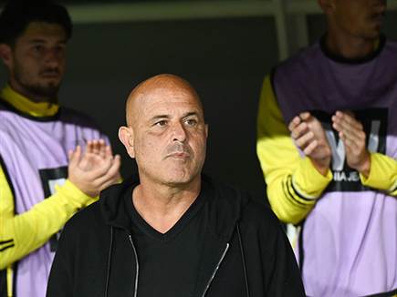 (ברני ארדוב)