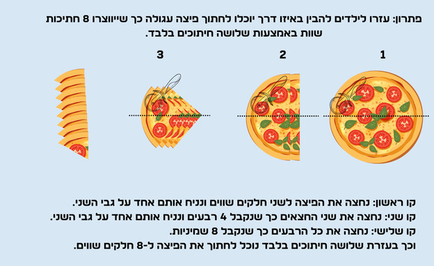 חידת הפיצה - הפתרון (צילום: הפרופסור הלא המפוזר)